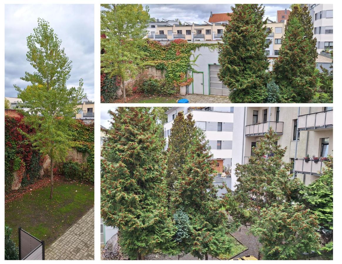Modernes Einraumzimmer Mit Eigenem Bad, Balkonnutzung, Zentrumsnah - In 10 Minuten Mit Dem Rad Oder Dem Oepnv Zur Arena Und In Leipzigs Innenstadt Экстерьер фото